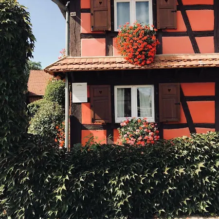 Les Authentics - Le Domaine D'autrefois & Holiday home Bolsenheim